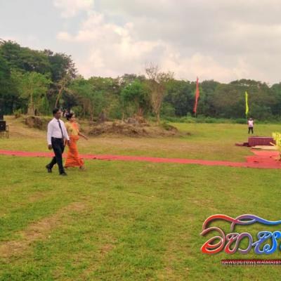 333531027 2312265275648798 1271831514355115774 N