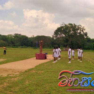 334671191 991328575219666 5542194079906751819 N