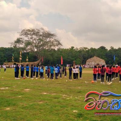 ක්‍රීඩා උත්සවය 