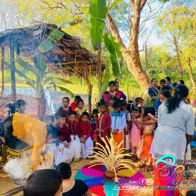 434963760 355162810837764 7120639142035365456 N